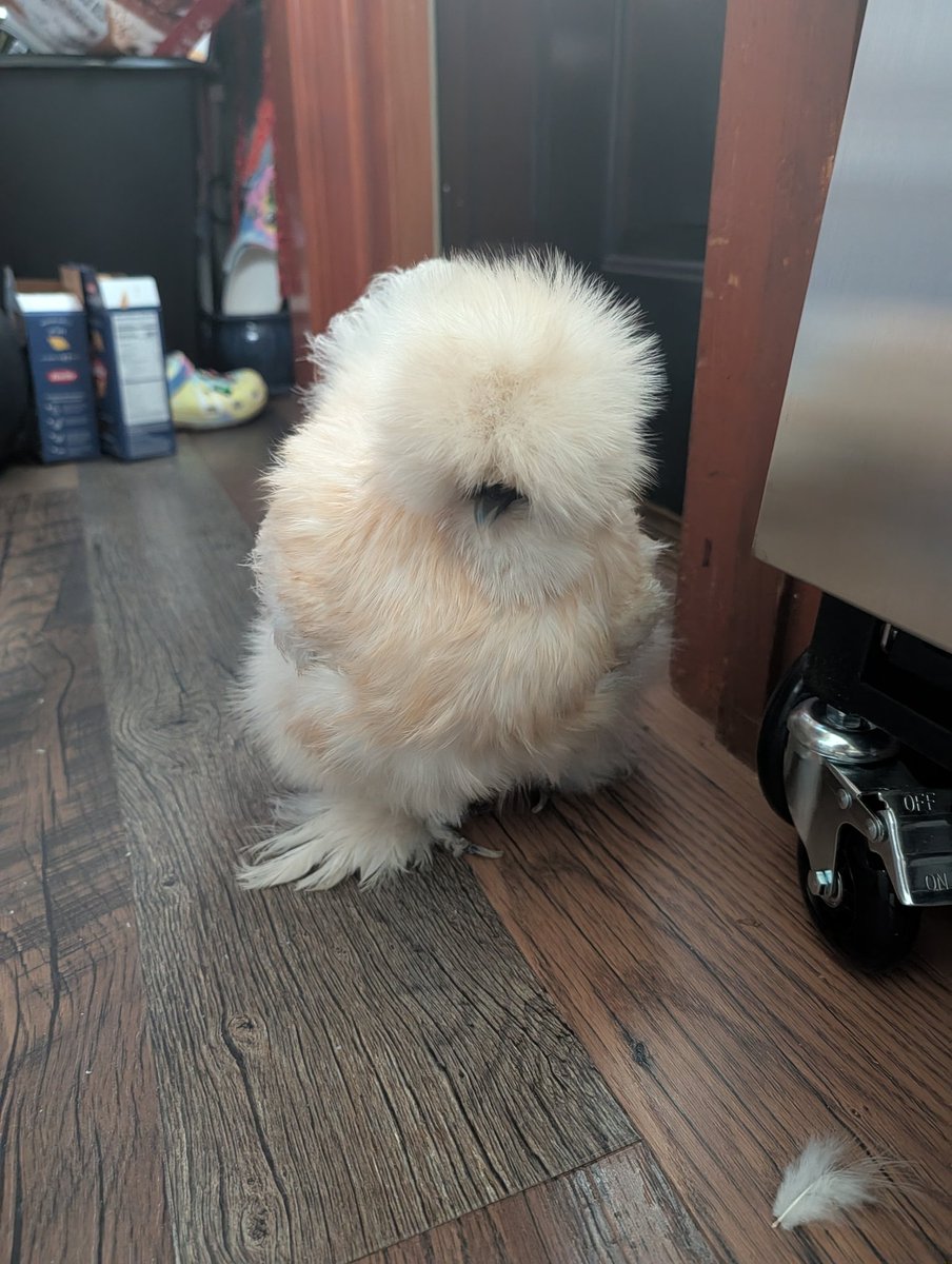 Arkham Harbor tweet media