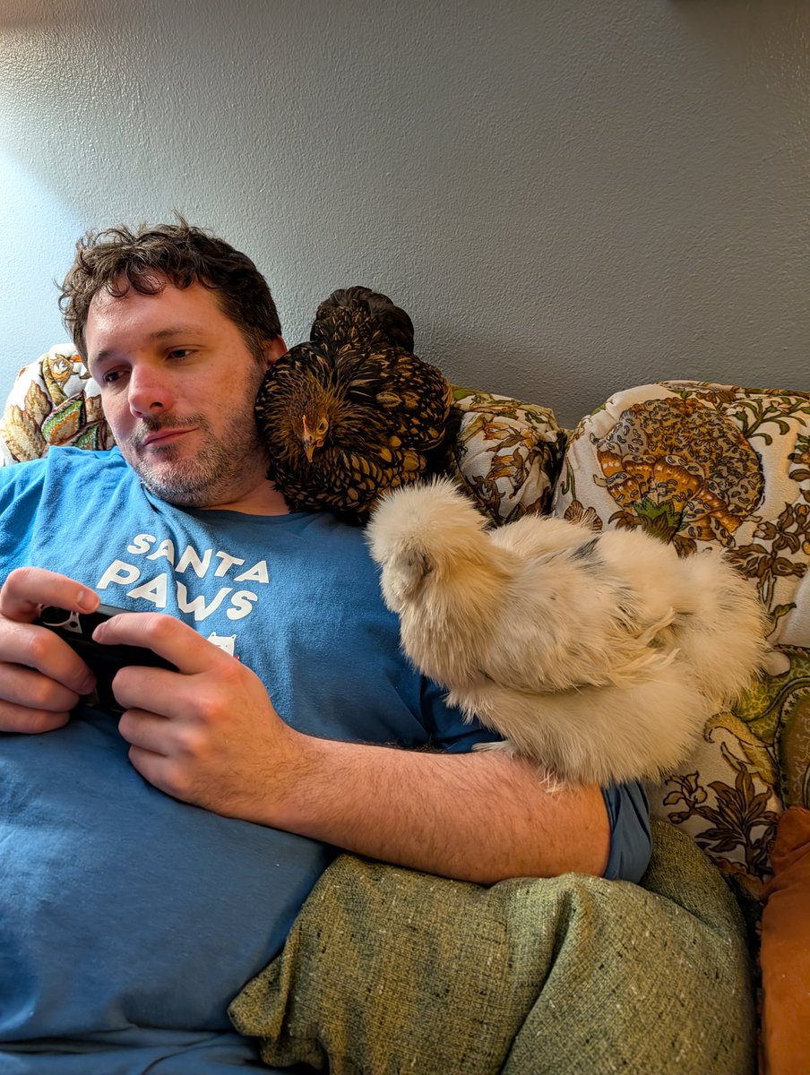 Arkham Harbor tweet media