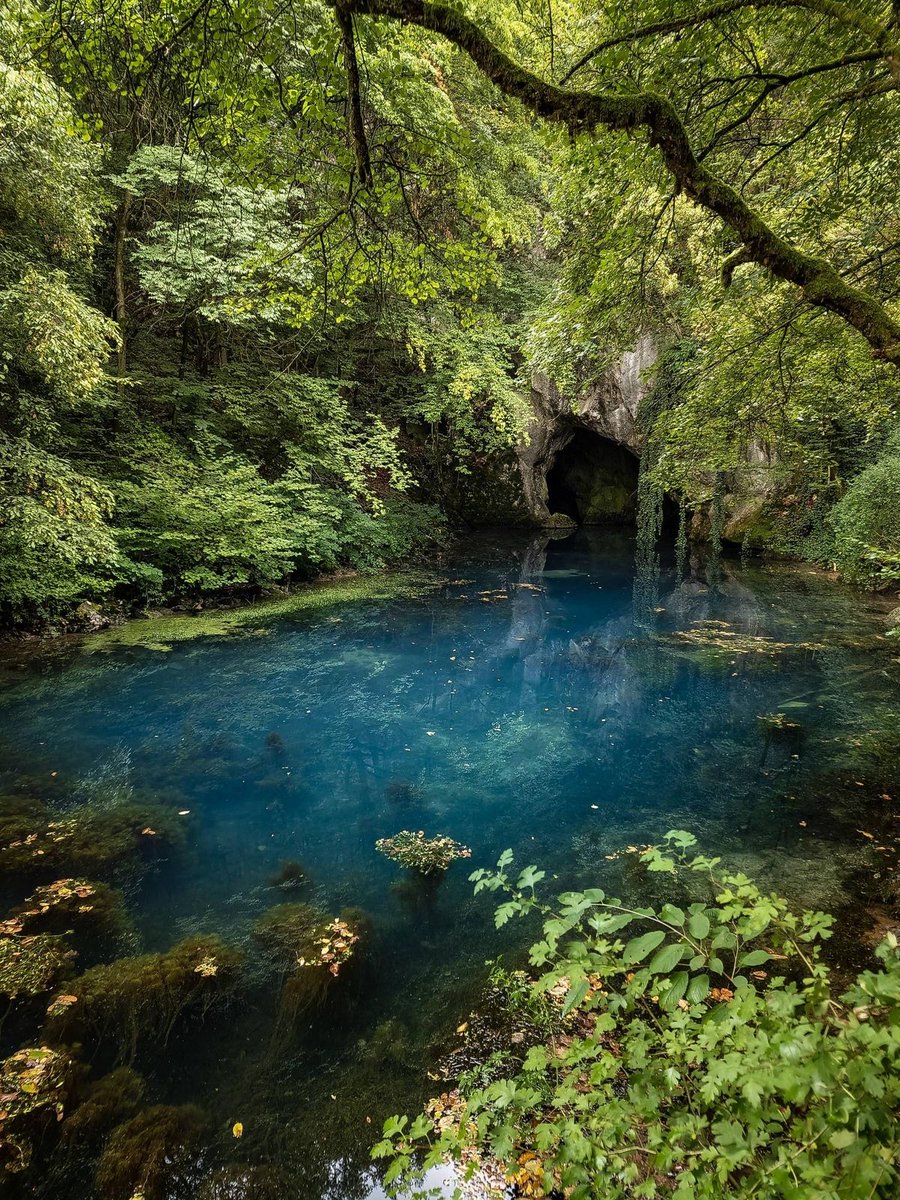 greenvibe's tweet image. 