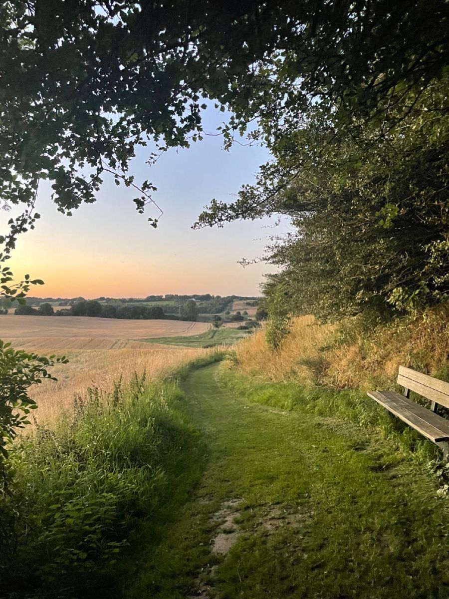 greenvibe's tweet image. 