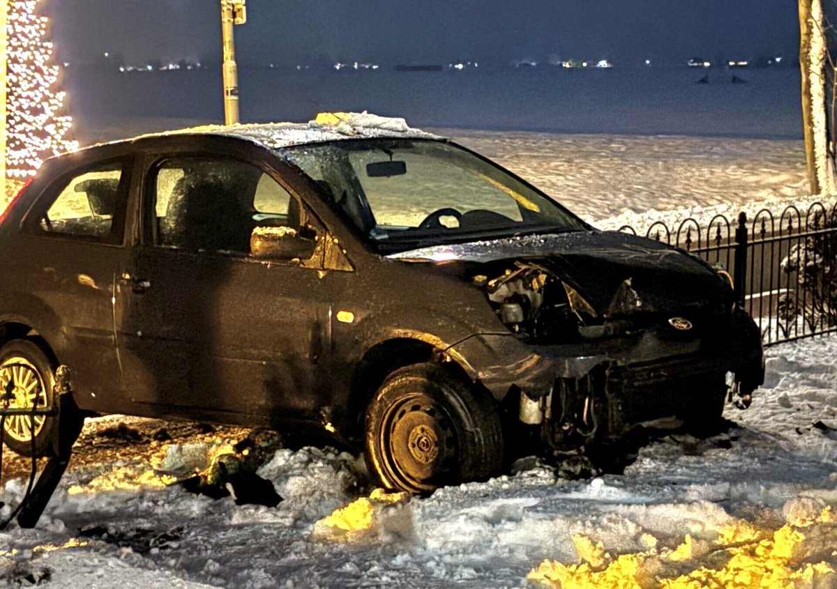 Automobilist ramt hek en komt tot stilstand in tuin