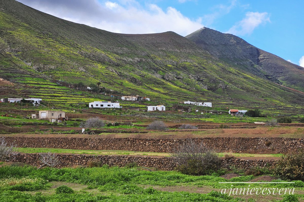 janievesvera's tweet photo. Tras las lluvias, la eterna belleza árida de Fuerteventura se transforma en una efímera belleza verde. Vallebrón se tiñe de verde.
#landscapephotography #paisaje #Fuerteventura #Vallebrón #landscape https://t.co/wyJHVx7fZp