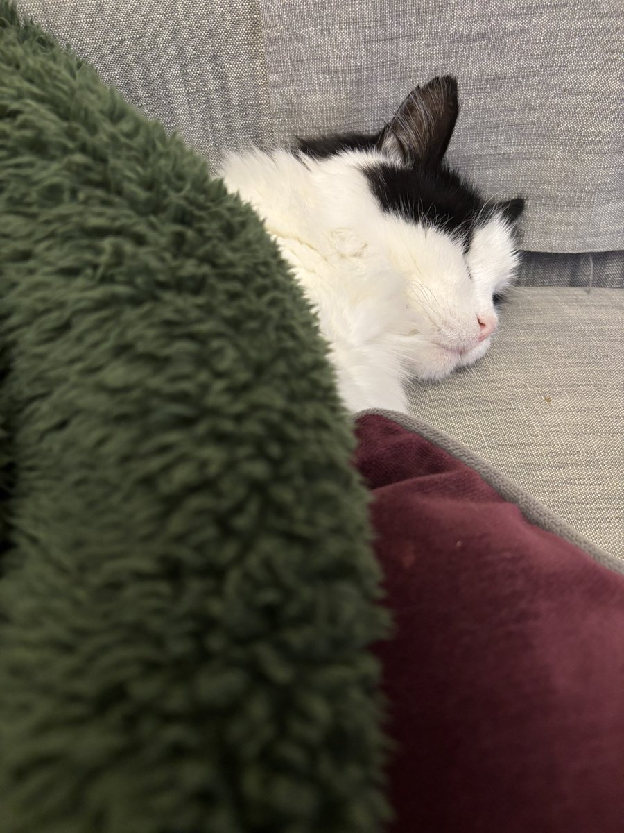 Billie & Charlie tweet media