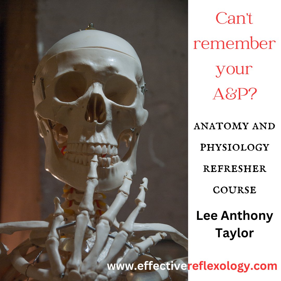 effectivereflex's tweet image. The Anatomy and Physiology Refresher Course (for reflexologists and other therapists) returns in February.
This ten-week online course, comes with handouts, presentations and videos each week.
email: effectivereflexologylat@gmail.com