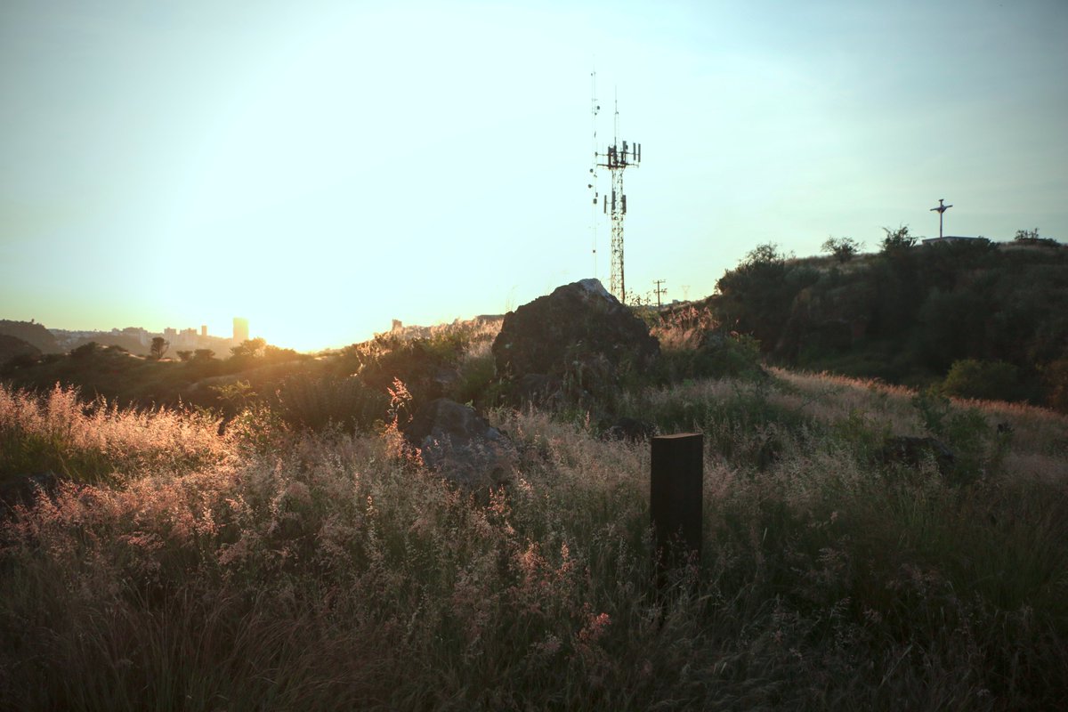 TheCarki tweet media