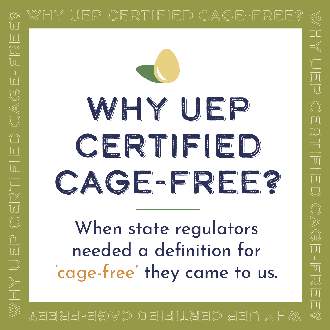 UEPCertified's tweet photo. While there will always be options in the egg case, cage-free is here to stay, &amp; so are we.
 
Get the cage-free facts straight: https://t.co/JLLluqIE6C 
  
#UEPCageFree https://t.co/EAgCHEcygr