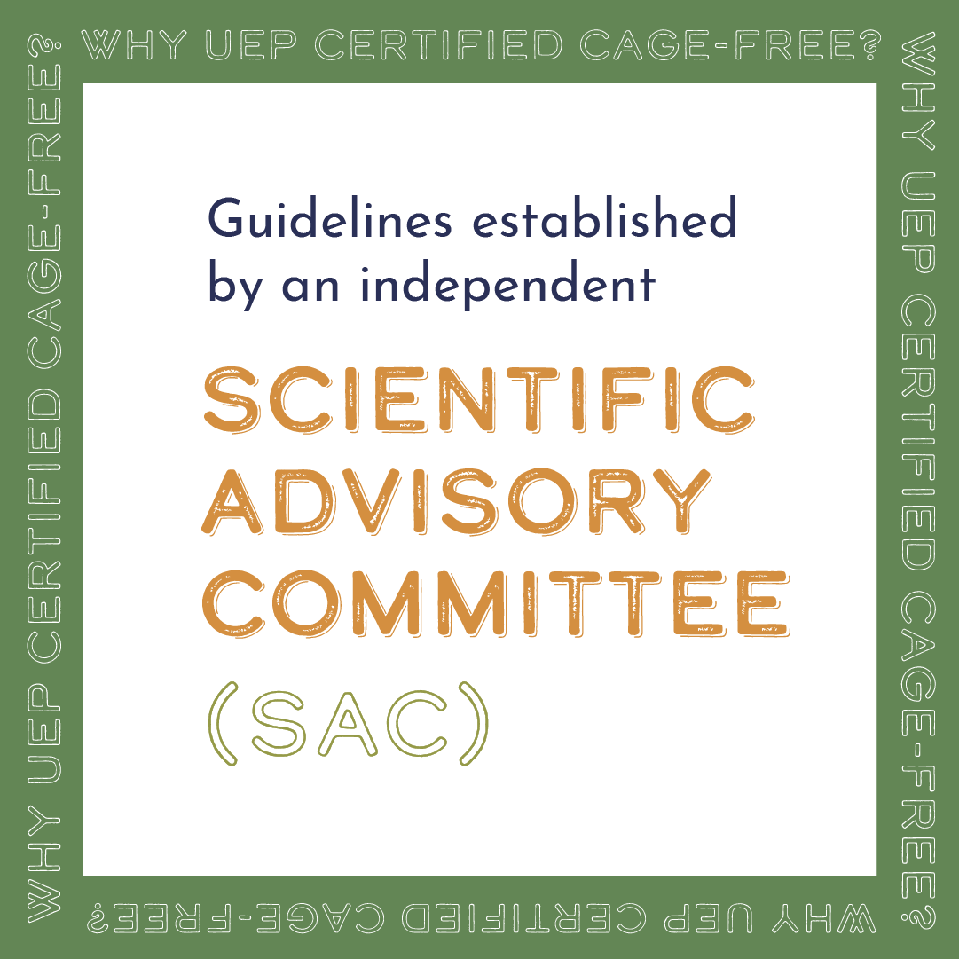 UEPCertified's tweet photo. While there will always be options in the egg case, cage-free is here to stay, &amp; so are we.
 
Get the cage-free facts straight: https://t.co/JLLluqIE6C 
  
#UEPCageFree https://t.co/EAgCHEcygr