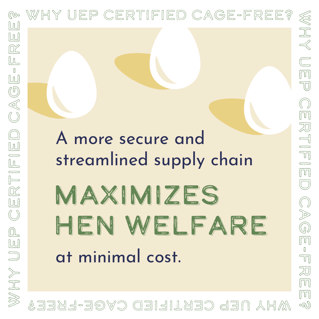 UEPCertified's tweet photo. While there will always be options in the egg case, cage-free is here to stay, &amp; so are we.
 
Get the cage-free facts straight: https://t.co/JLLluqIE6C 
  
#UEPCageFree https://t.co/EAgCHEcygr