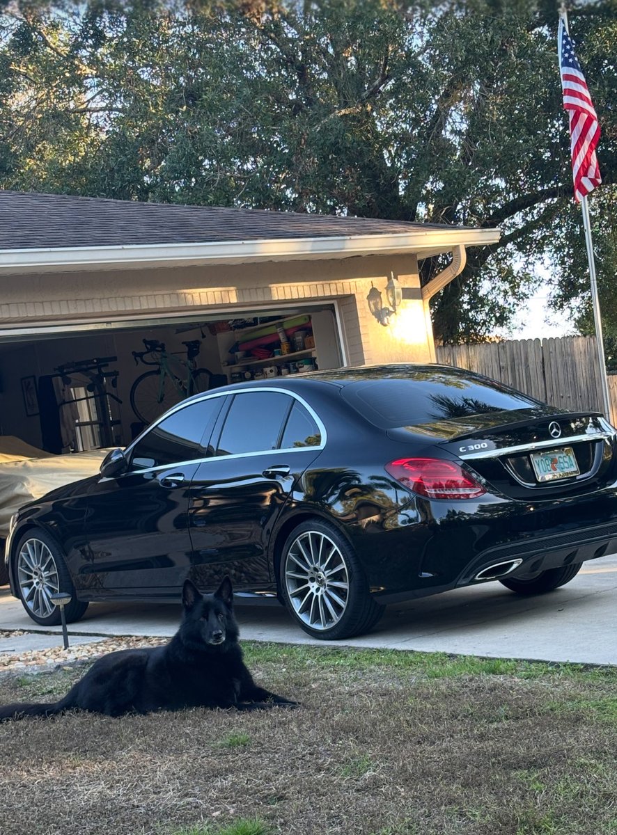 Guarding the property ha ha if you came up and pet her, she let you in the house.