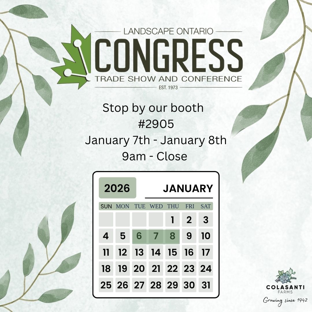 We will be at Landscape Ontario this week! Hope to see everyone there! Come stop by our booth 2905

#colasantifarms #colasantifarmsltd #wholesaleplants #LandscapeOntario #LOCongress2026