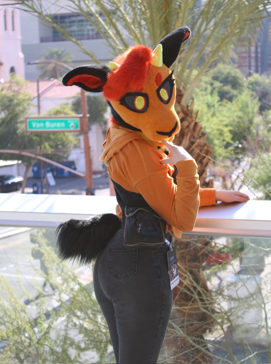 Salsa the Giant Anteater tweet media