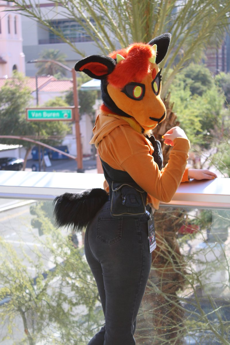 Salsa the Giant Anteater tweet media