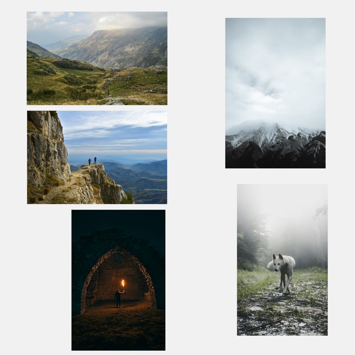 Sandra Kings tweet media