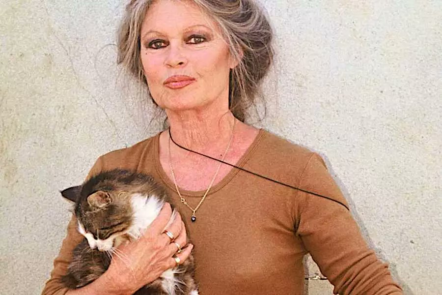 Pourquoi, après Saint-Tropez, un grand hommage à Brigitte, jeudi 16h à Nice ? Parce que Brigitte y a tourné les intérieurs de 6 de ses films, ds les studios de la Victorine (dt 'Et Dieu créa la femme') et qu'elle préférait tourner ds le Sud plutôt qu'à Paris