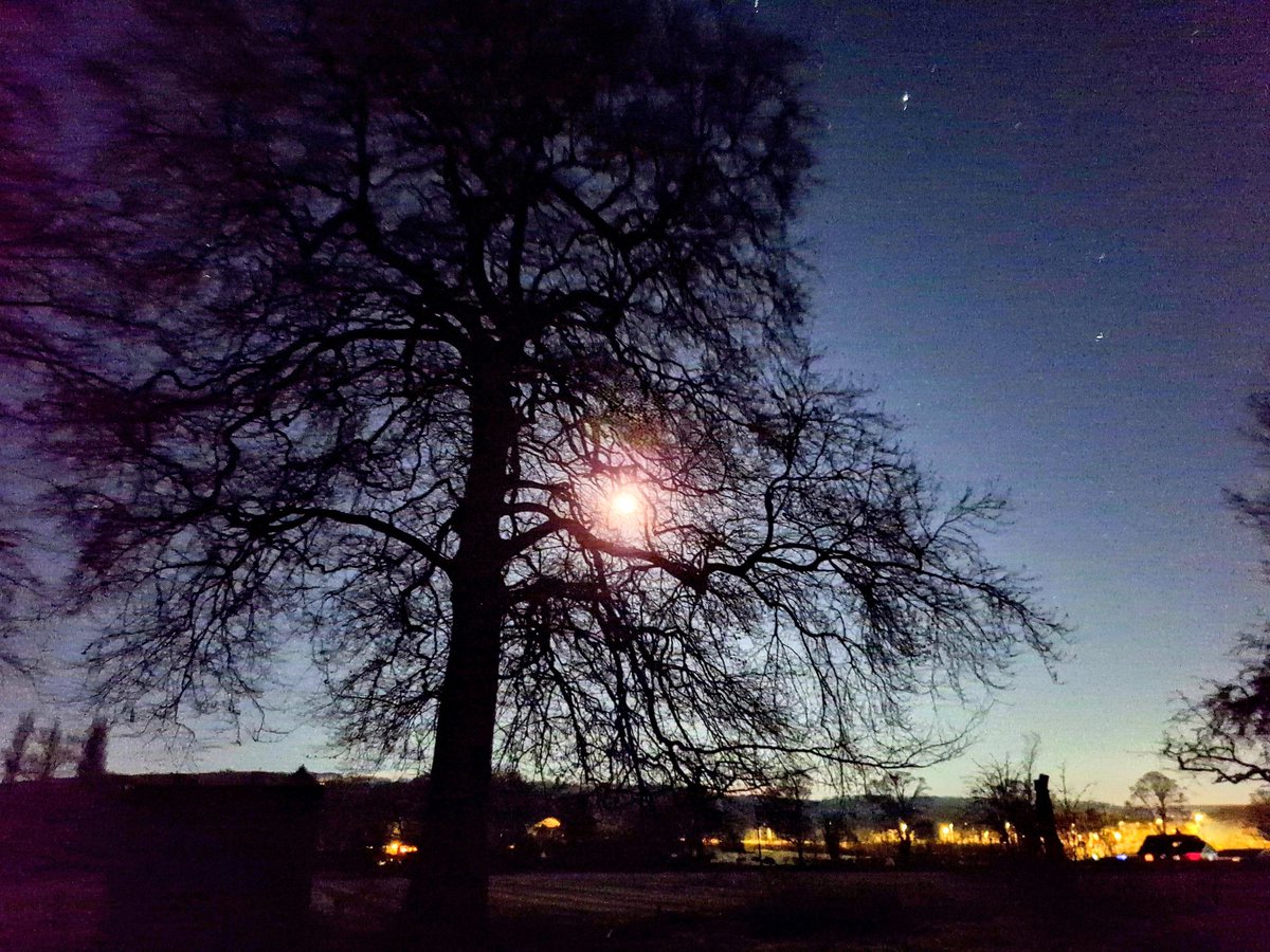 A Tree a day keeps the shrink away
#TreeClub