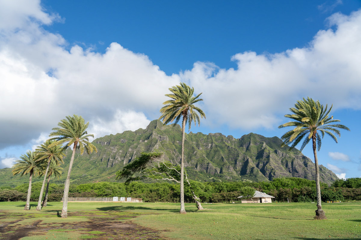 最近雨が多かったおかげで、ダイヤモンドヘッドが緑色に⛰💚

Photo by KUNI NAKAI

ハワイの美しい景色を #毎日更新中！
#今日の一枚 のまとめはこちらから🌺
lealeaweb.com/photograph

#ハワイ #ハワイ大好き #ハワイ好きな人と繋がりたい #ハワイ旅行 #カピオラニ公園 #ワイキキ