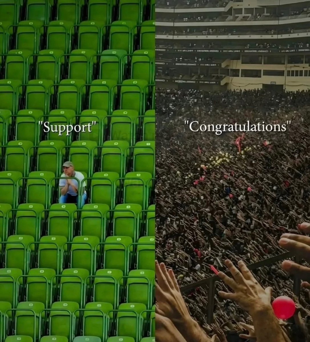 Mind_Essentials's tweet image. 