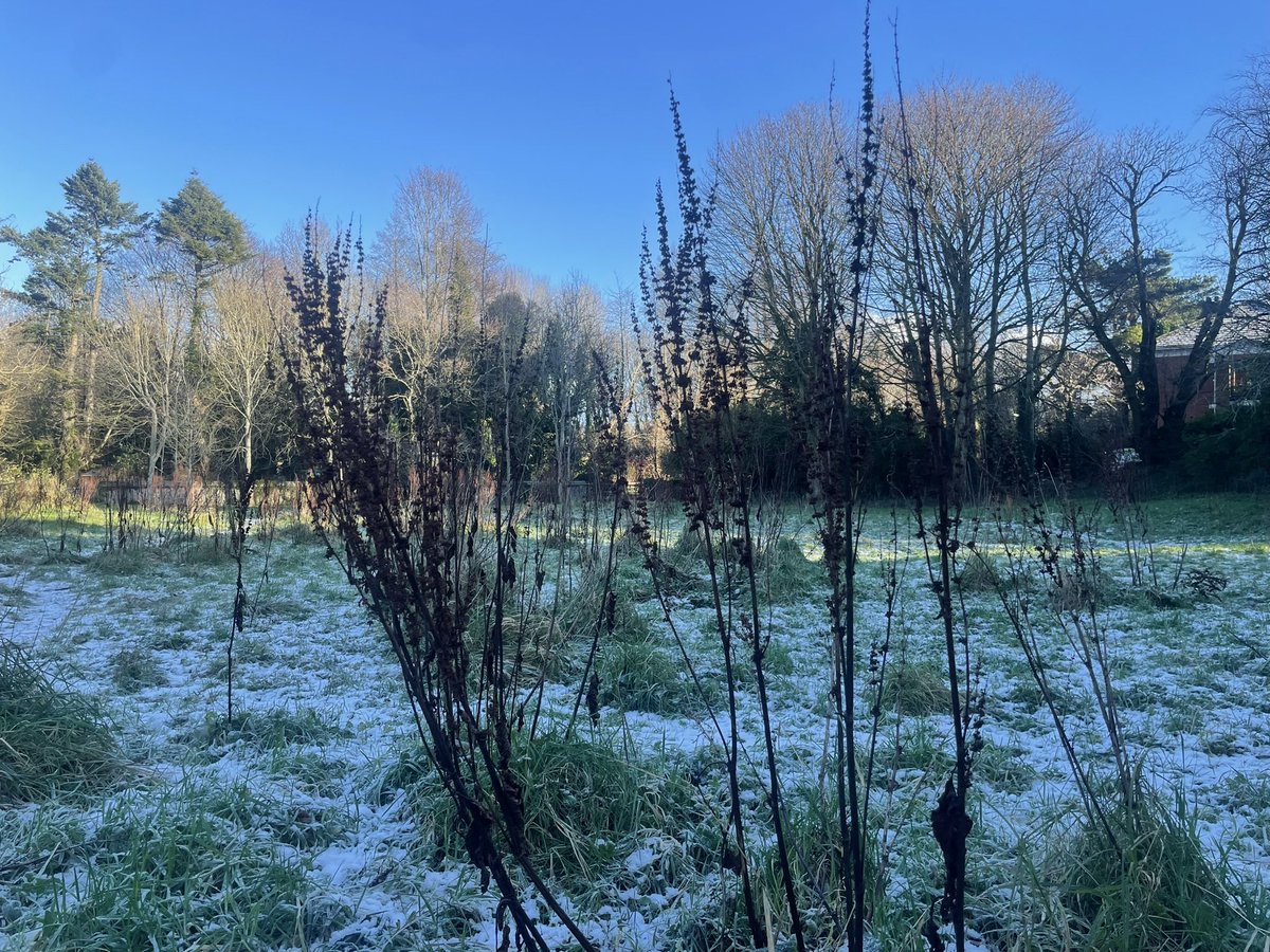 peterbreene's tweet photo. Frosty all day. @bbcweather https://t.co/drR11NGHSU
