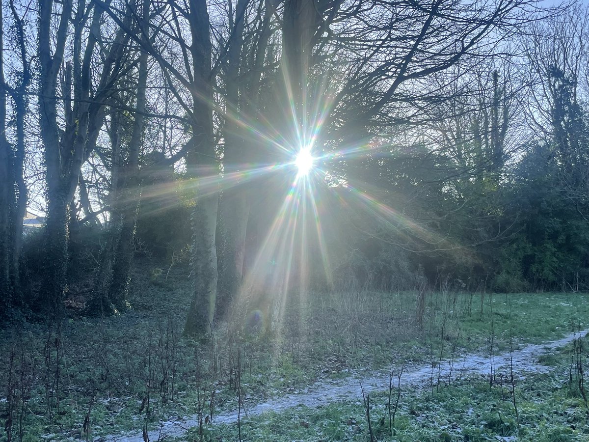 peterbreene's tweet photo. Frosty all day. @bbcweather https://t.co/drR11NGHSU