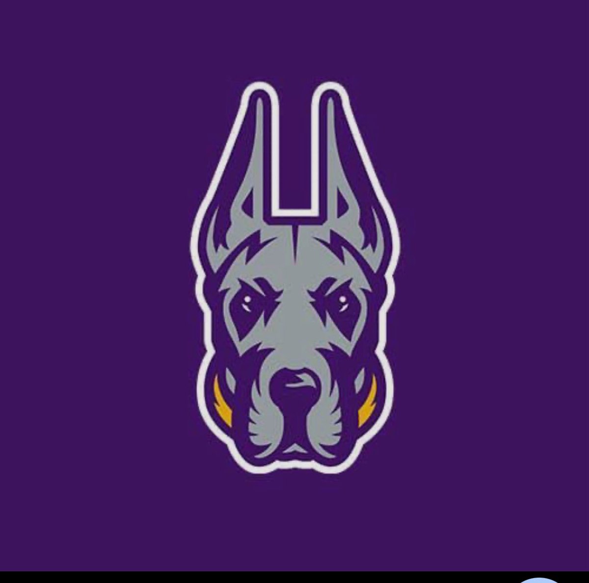 Casey Judelson tweet media