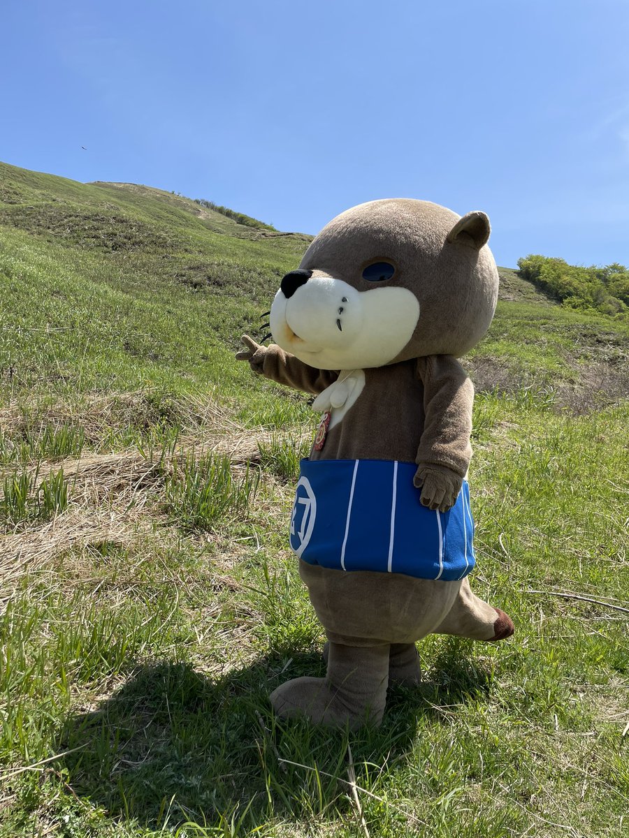 ニホンカワウソ幻(げん)ちゃん【公式】 (@SUPERxTAKA) / Posts / X