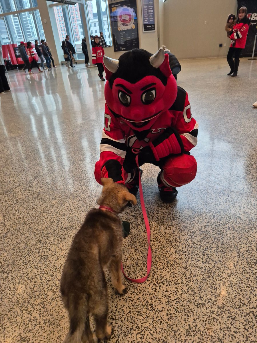 The Seeing Eye tweet media