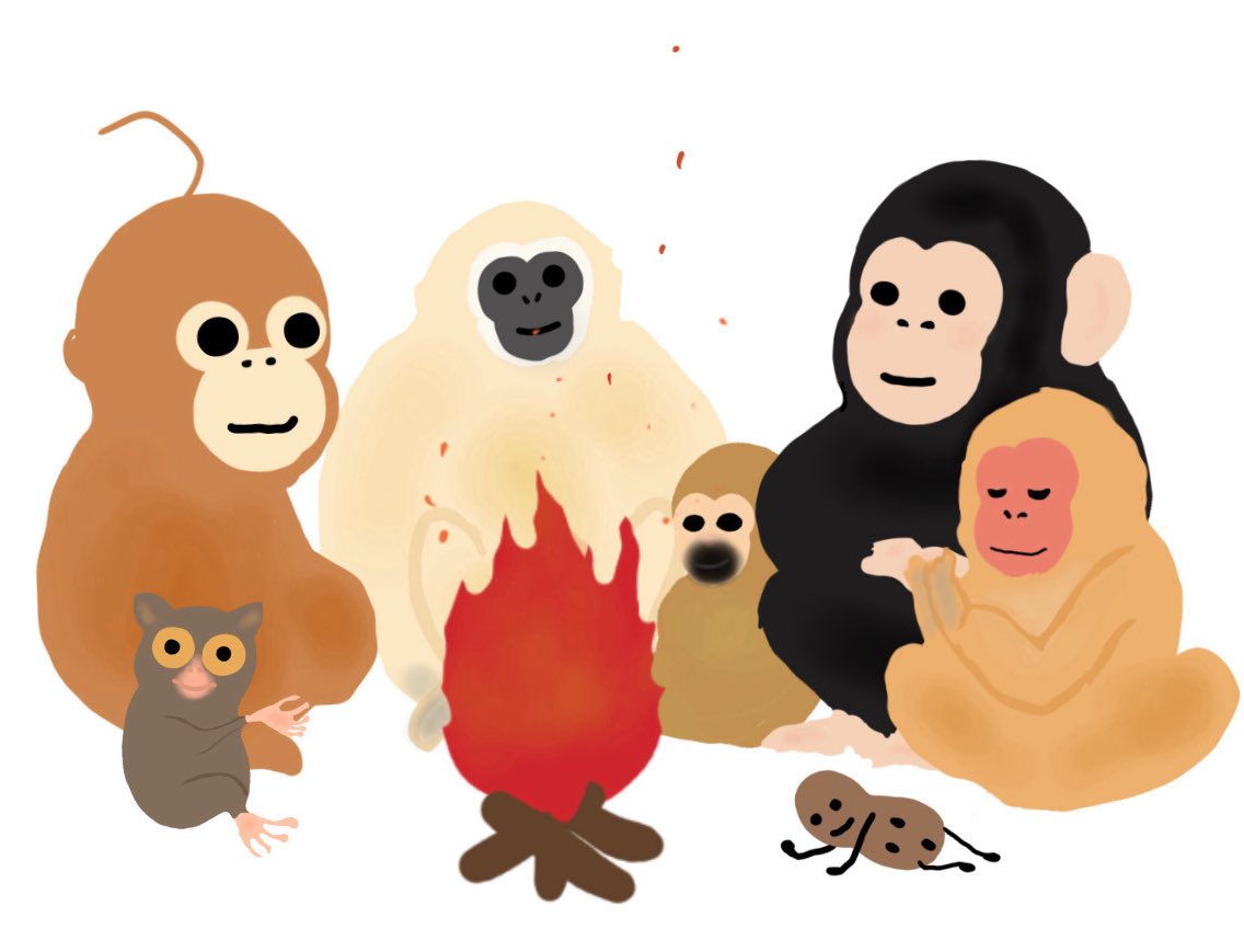 Usukawaya's tweet image. おはよう。今日もあったかくね。
Stay warm😌♥️