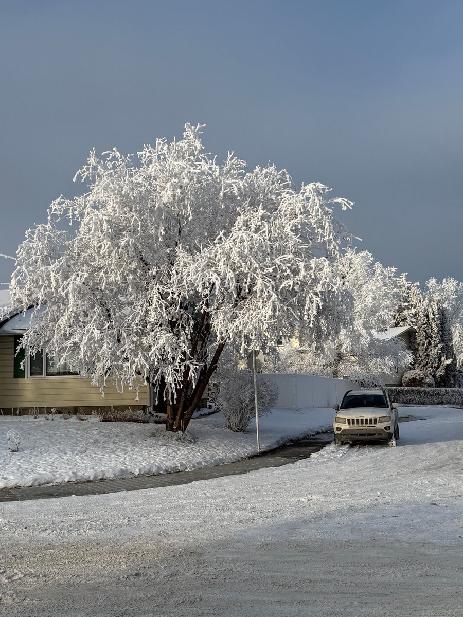 लेकका हाम्रा केटाकेटी ,            बोटमा लटरम्म हिउ फ़ल्छ