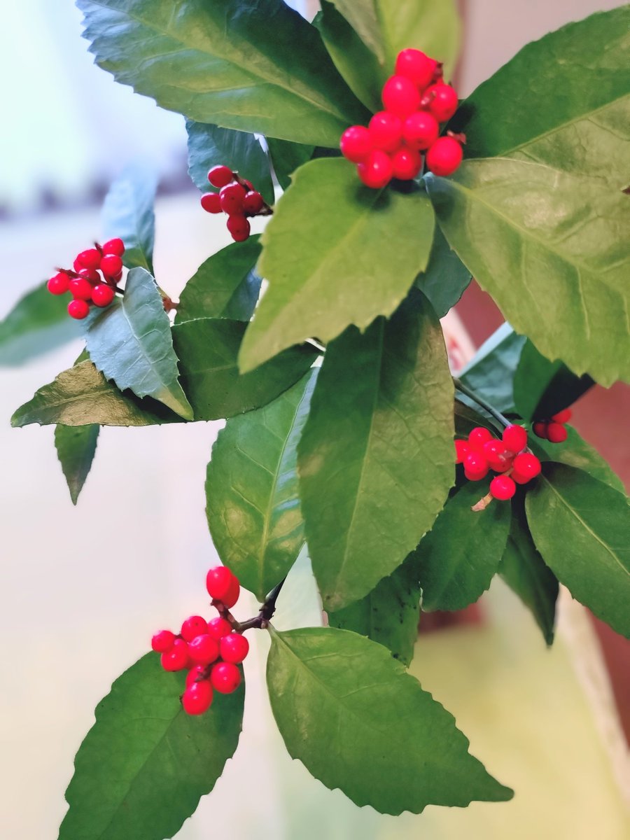 祈善聚福 善與福的循環.yso