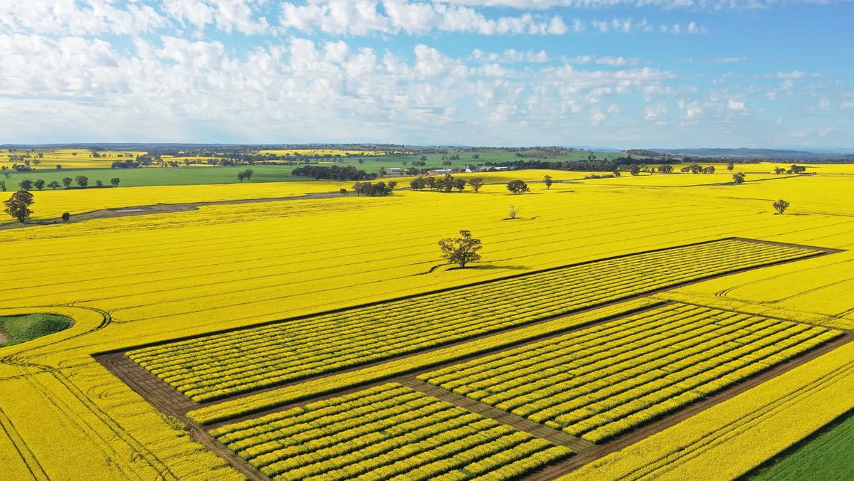 Justin Kudnig tweet media