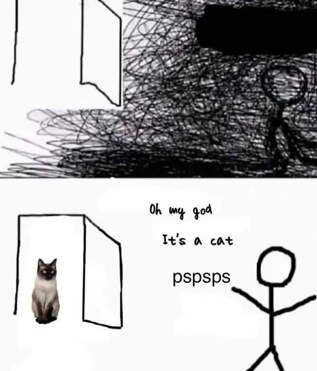 Punch Cat tweet media