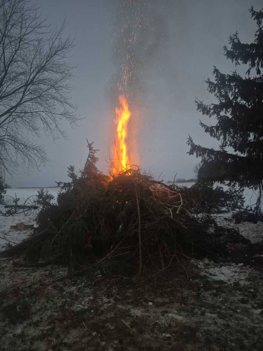 Lyle Campbell tweet media