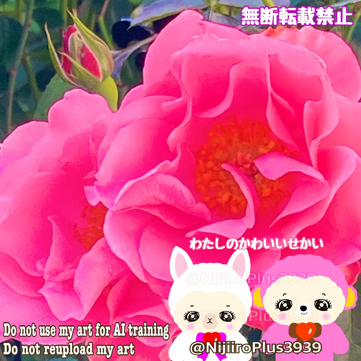 アルパカさん おさんぽ アルパカくん | 株式会社ハック