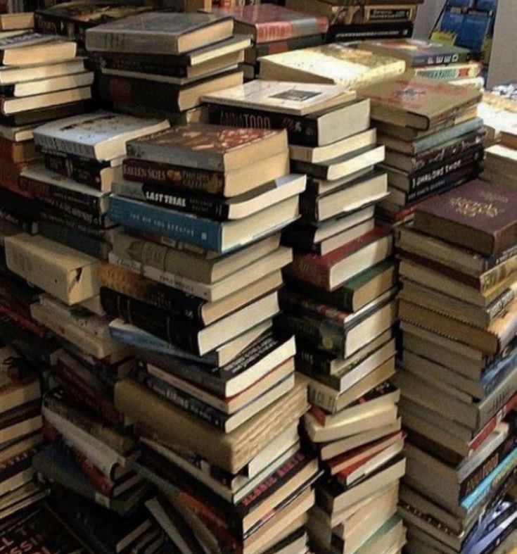 parisa | 📖: a guerra da papoula tweet media