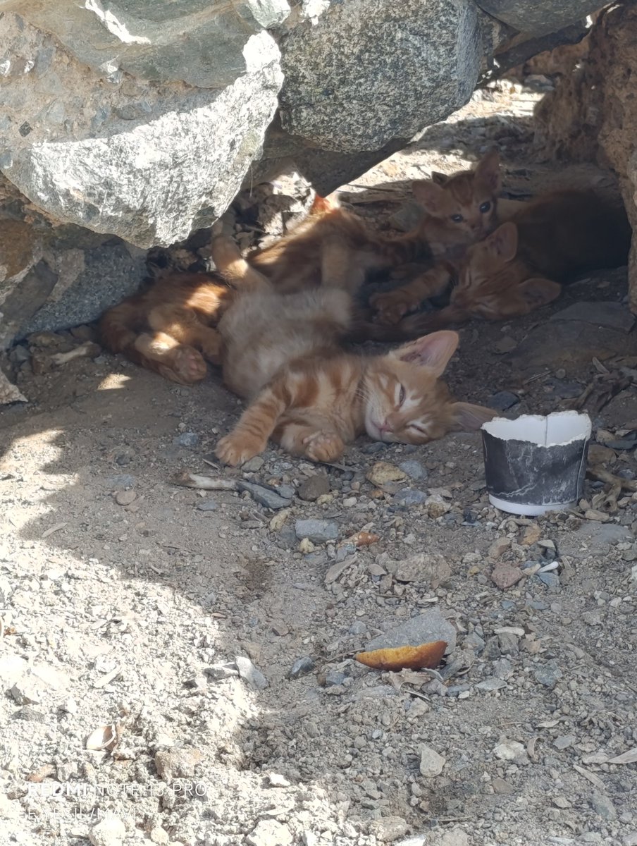 Geceye...

Bazı acılar geçmez alışırız..