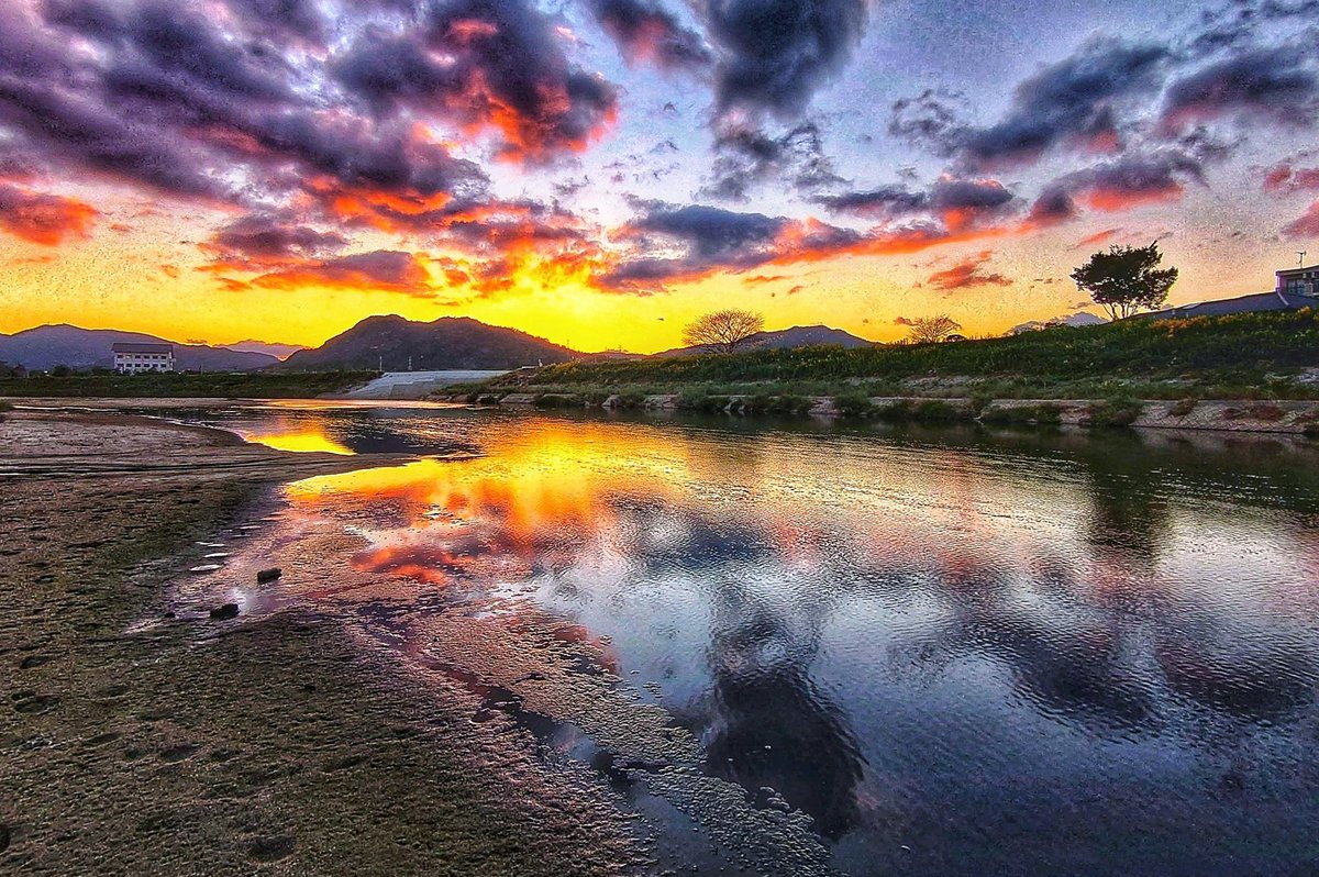 わんわん🐕🐾 (@d2a4Nlf0naIsfCh) / Posts / X