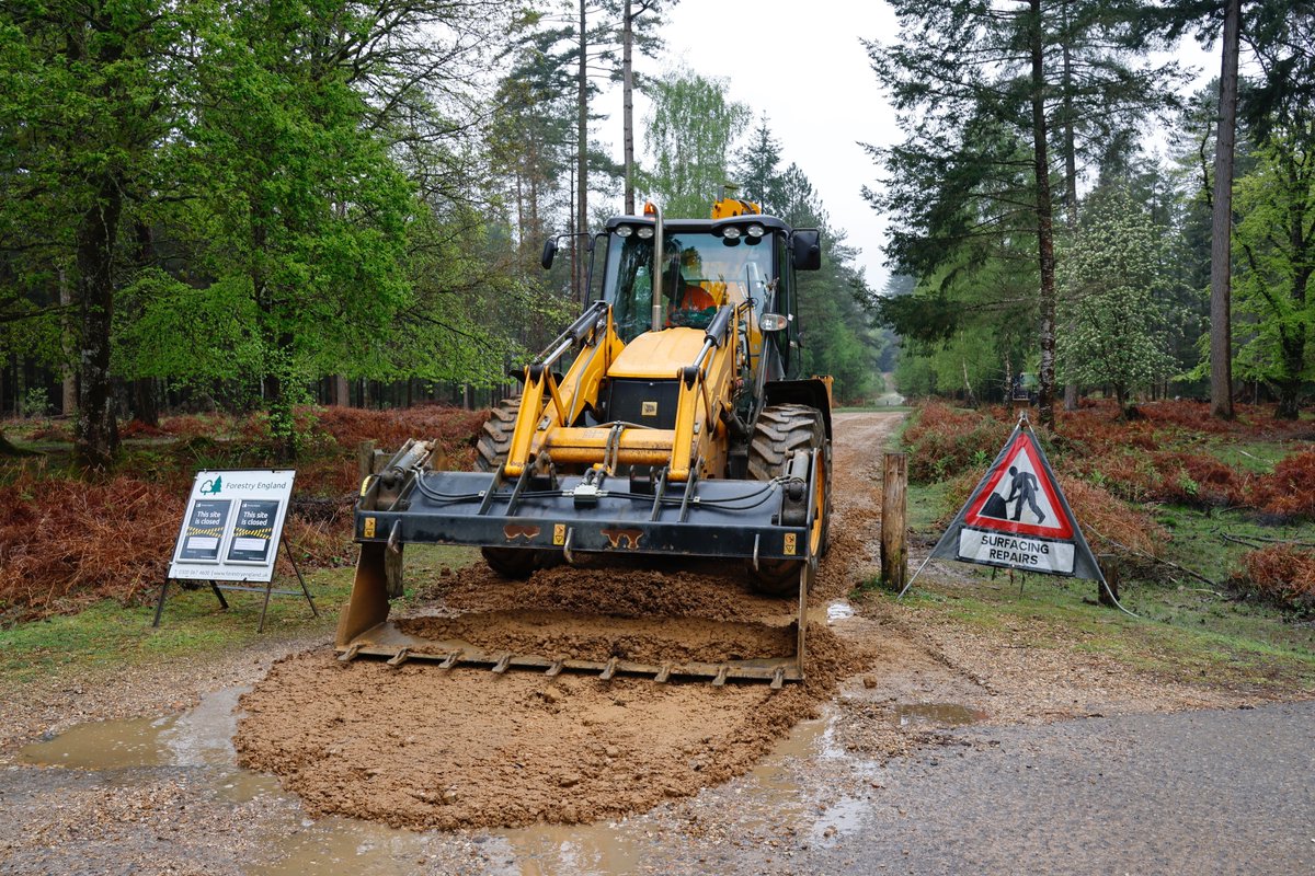 The New Forest - Forestry England tweet media