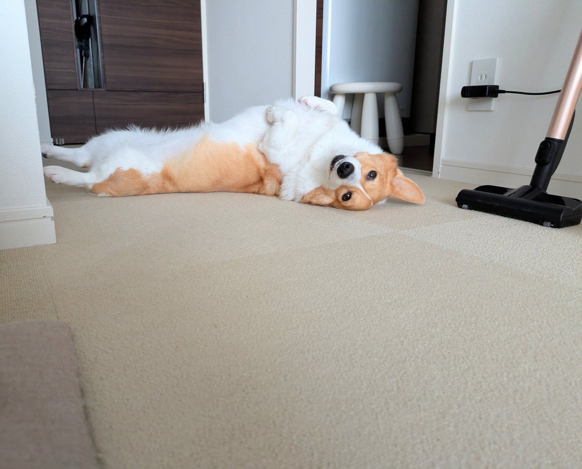 こまち@彩 (@komachiaya_) / Posts / X