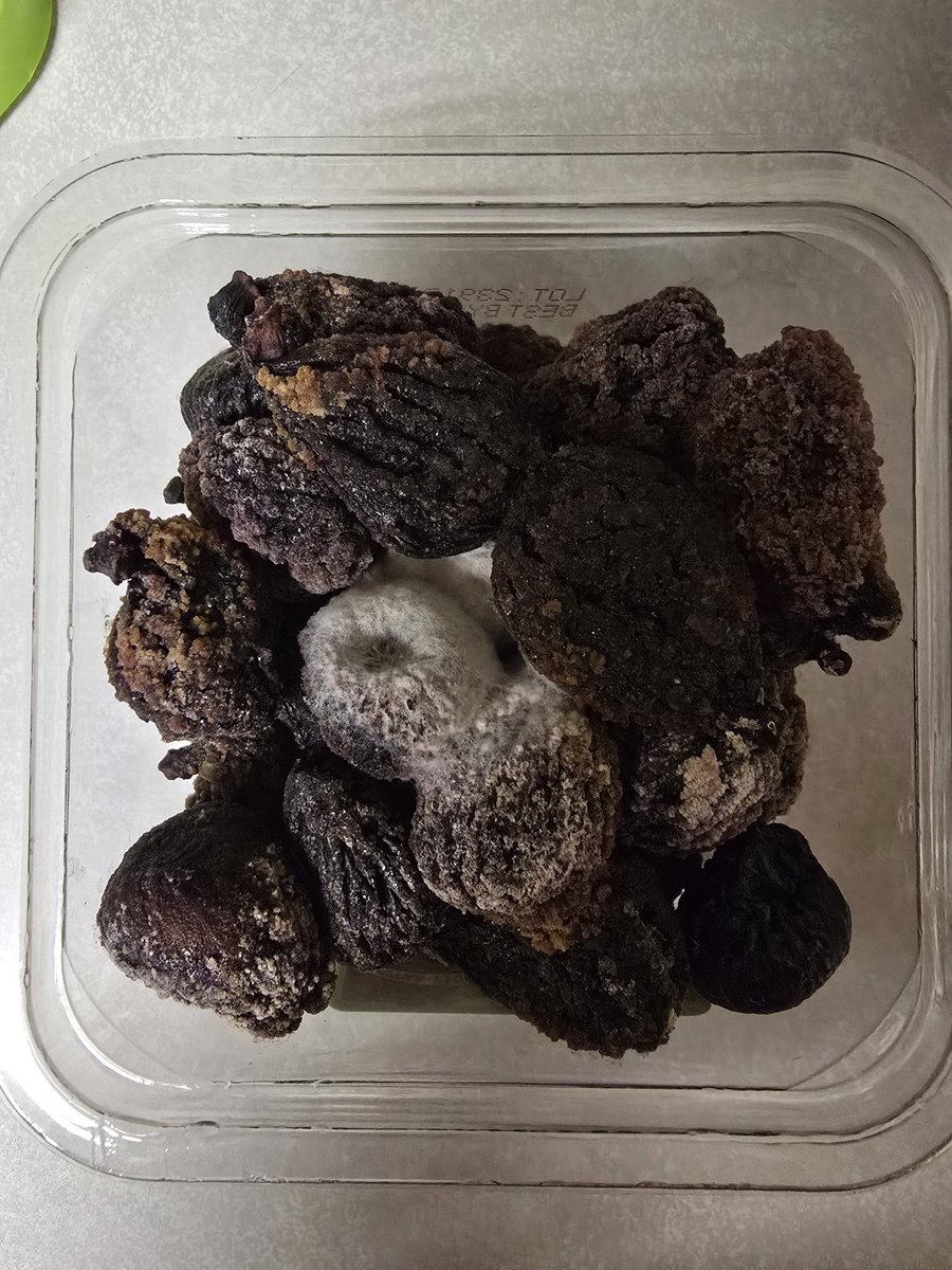 Erika Cruz 🇵🇷 tweet media