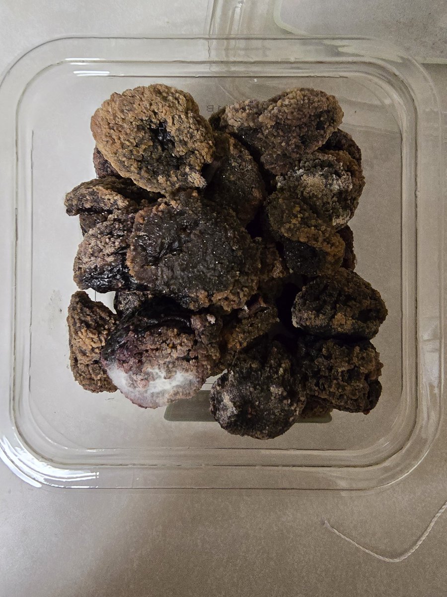 Erika Cruz 🇵🇷 tweet media