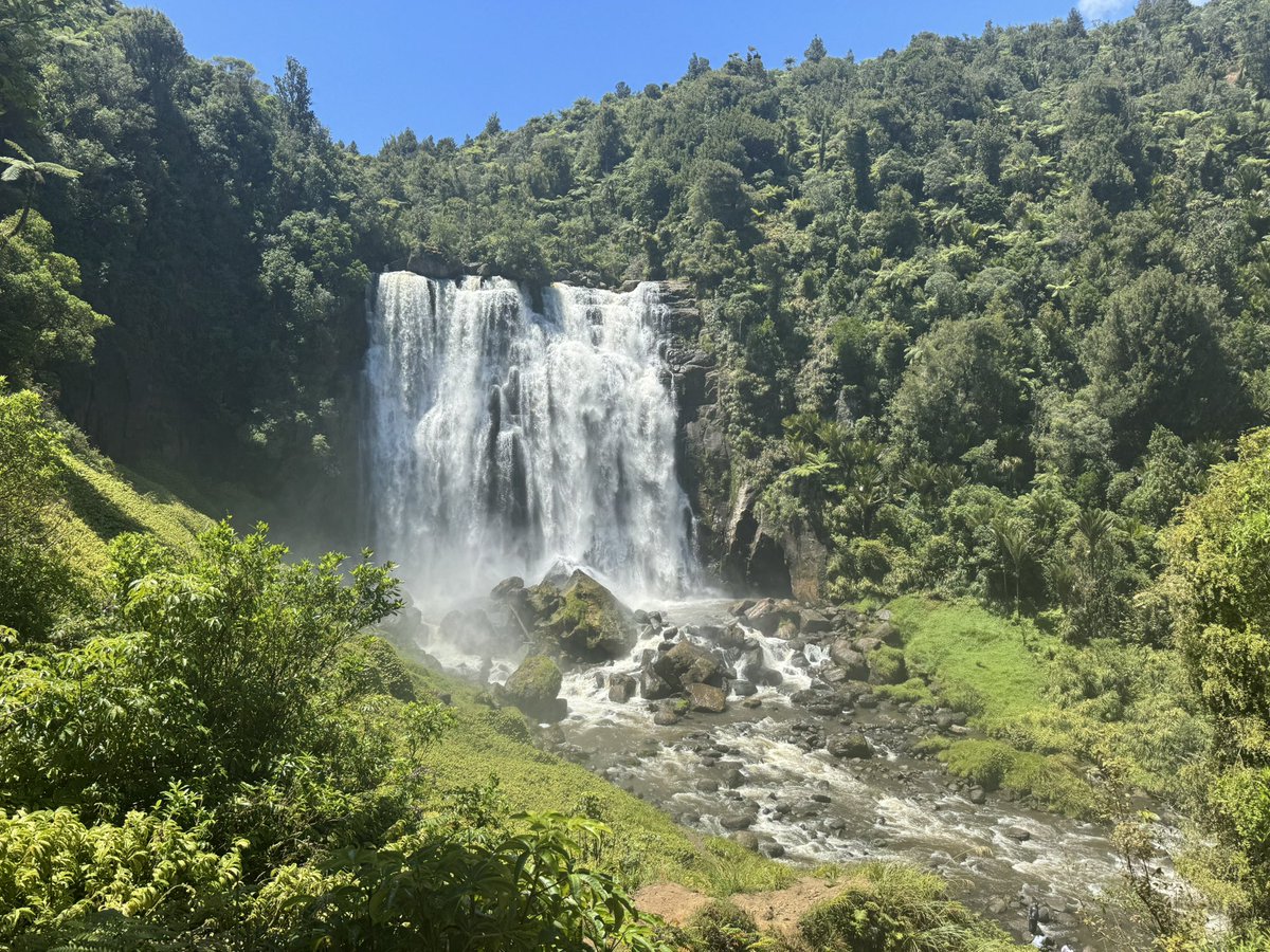 Zen Miyaji-Thorne tweet media