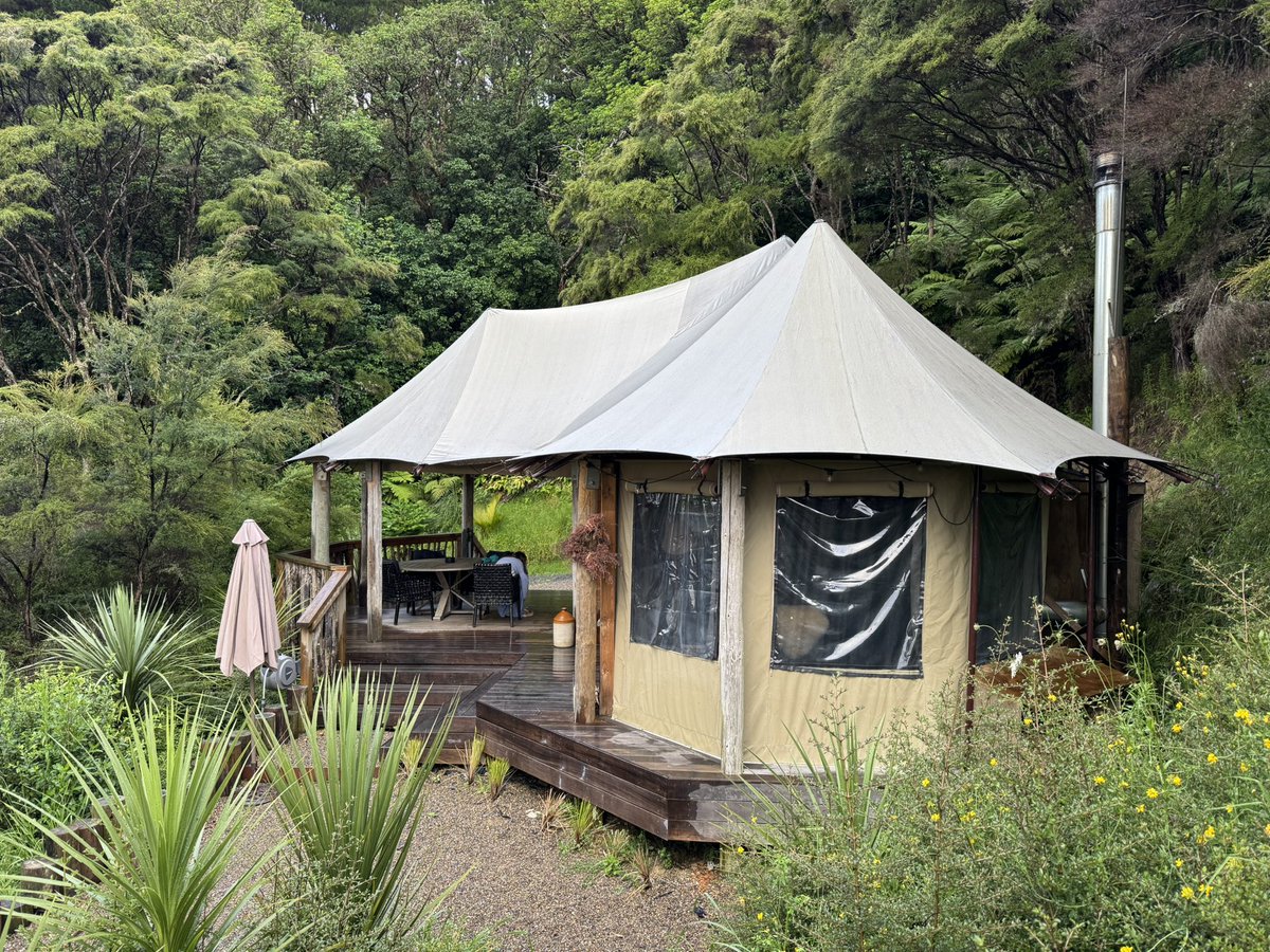 Zen Miyaji-Thorne tweet media