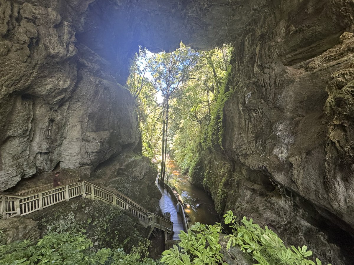 Zen Miyaji-Thorne tweet media