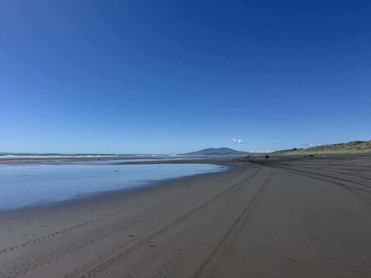 Zen Miyaji-Thorne tweet media