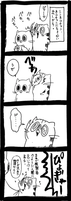 先に手を出したのに 