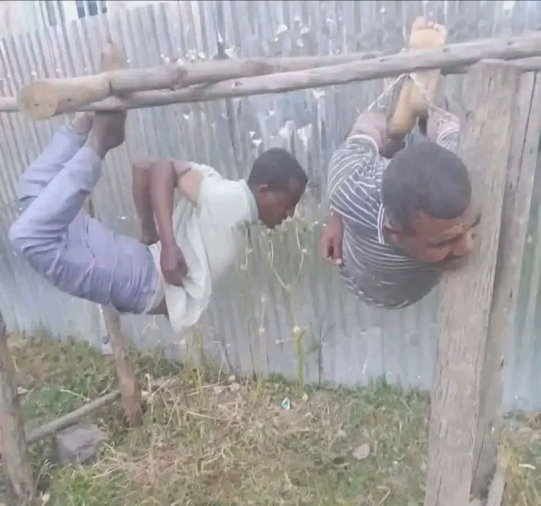 MeyimunaHa95583's tweet image. # አብይ በዚህ ዘመን ሰውን እንዲህ እያሰቃየነ ነው ... ይህ ድርጊት ኦሮሚያ ክልል አርሲ ዞን ውስጥ የተፈፀመ ነው ..
.
.
.