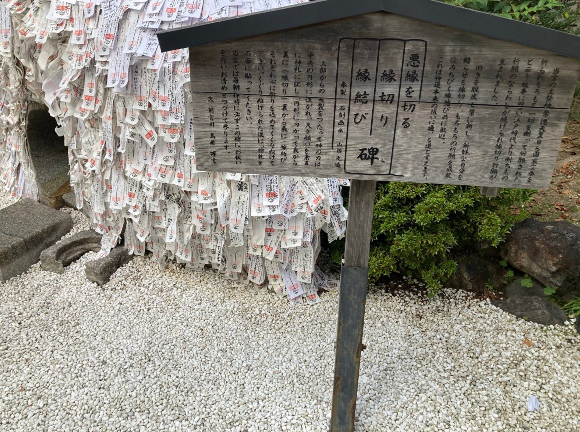 アオ【白兎霊視占い師】 tweet media