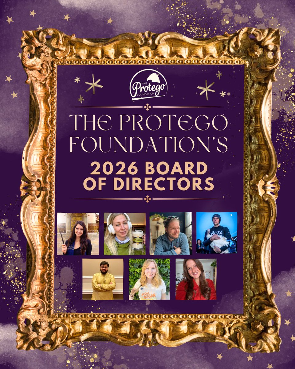 ⭐️ Introducing…The Protego Foundation’s 2026 Board of Directors!

Valerie Short: Board Member &amp; President
Nicole Hering: Board Member &amp; Vice President/Secretary
Justin Gonsalves: Board Treasurer
Matthew Braun: Board Member
Brittany Drake: Board Member
Amanda Brody: Board Member
