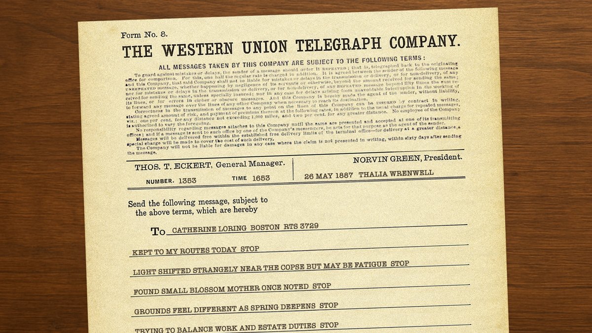 EchoesInked's tweet image. Kept to my walking routes today. The light shifted strangely near the copse, though it may only be fatigue. I found a small blossom Mother once noted. The grounds feel different as spring deepens. I’m trying to balance work and the estate. I think of you often. #FictionThread