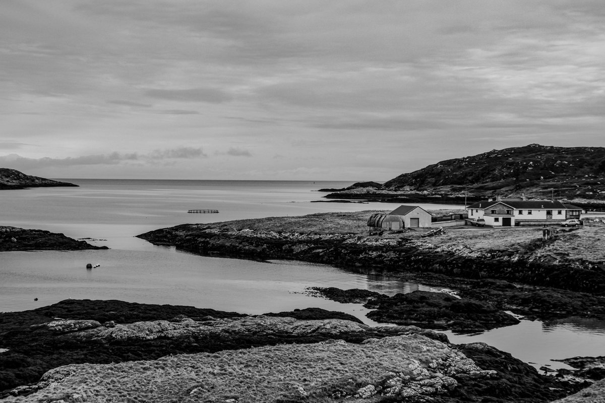 Niall a Barraigh tweet media